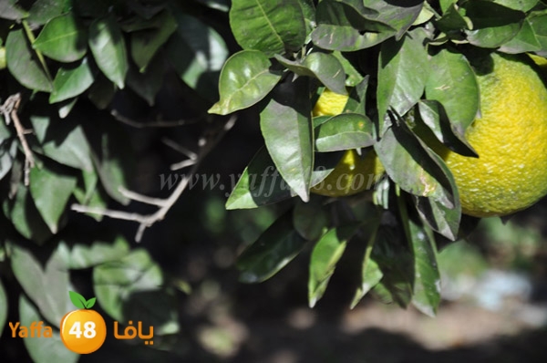 bayara visiting (6).JPG